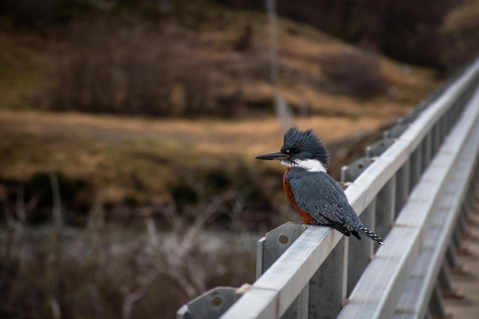 Explora En Torres Del Paine Villa Torres del Paine Nemzeti Park Kültér fotó